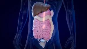 افضل دكتور جهاز هضمي في مصر