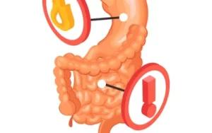 افضل دكتور باطنة وجهاز هضمي في مصر الجديدة