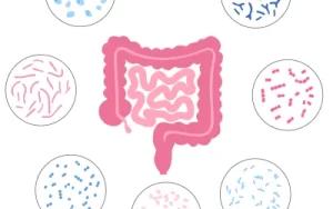 دكتور جهاز هضمي شاطر